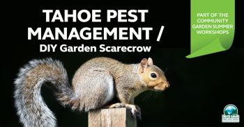 North Tahoe Recreation & Parks, Community Garden Workshop - Tahoe Pest Management & DIY Garden Scarecrow