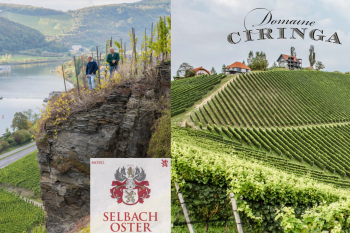 The Pour House, Taste the Terroir of Germany and Slovenia with Visiting Winemakers