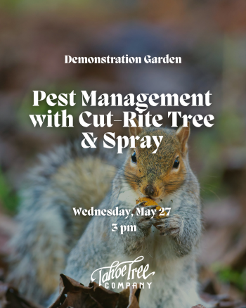 Tahoe Tree Company, Demonstration Garden: Pest Management with Cut-Rite Tree & Spray
