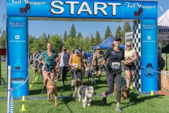 Big Blue Adventure, Tail Wagger Dog-Friendly 5k & 1-Miler