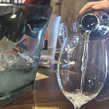 The Pour House, Summer Value Picks Wine Tasting