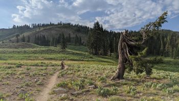 Start Haus, Weekly Mountain Bike Shop Rides