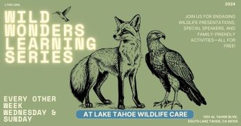 Lake Tahoe Wildlife Care, Wild Wonders Learning Series