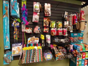 EarthWise Pet, South Lake Tahoe, Interactive Toys for Cats & Kittens