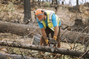 Tahoe City Downtown Association, Tahoe City Firewise