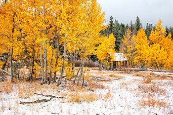 Autumn Snow Shacks by Michelle Erskine Photography