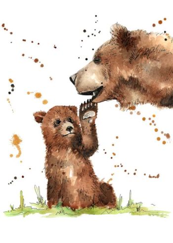 Bears Illustration Colors by Megan