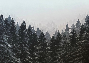 Piper J Gallery, Frosted Pines by artist Jen Rickards