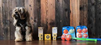 EarthWise Pet, South Lake Tahoe, Quality Dog Supplies & Accessories