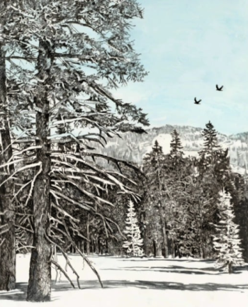 Piper J Gallery, Incline Flume Trail II Drawing