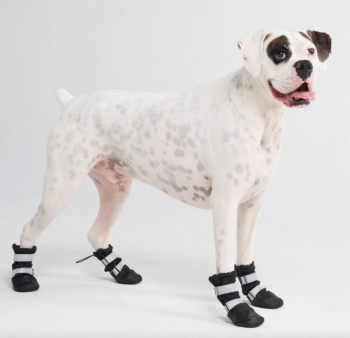 Wild & Ruff, Black Water-Resistant Dog Boots
