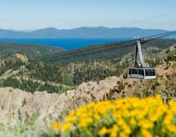 Tahoe Getaways, Ski Area Summer Discount