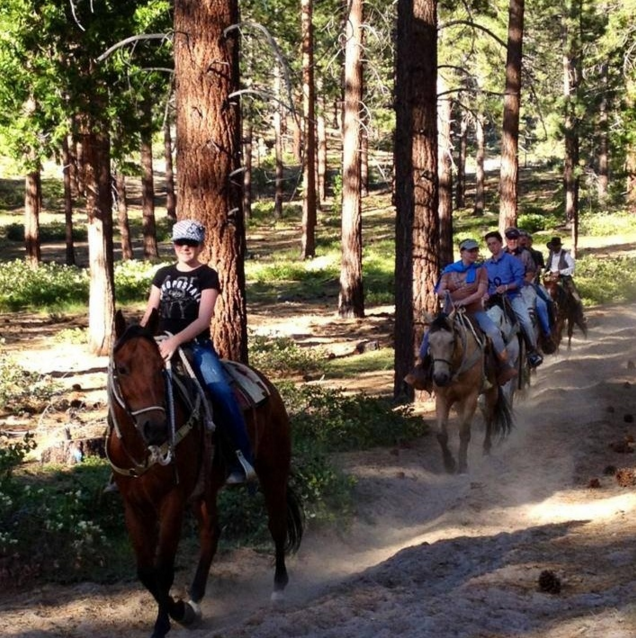 Zephyr Cove Stables Lake Tahoe