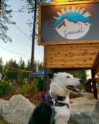 Lakeview Social Tahoe photo