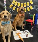 Truckee-Tahoe Pet Lodge photo