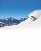 Black Tie Ski Rentals &amp; Delivery photo