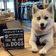 Wild &amp; Ruff photo