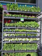 Grocery Outlet Incline Village photo