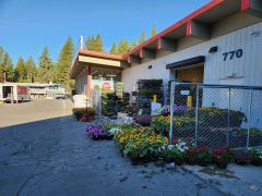 Grocery Outlet Incline Village photo