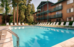 Forest Suites Resort photo