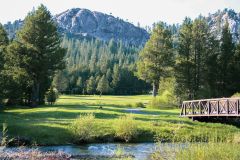 Lake Tahoe Golf Course photo