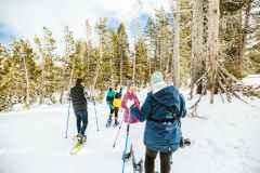 Hyatt Regency Lake Tahoe photo