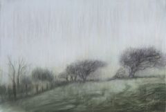 Shelley Zentner Gallery photo