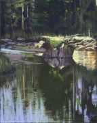 Shelley Zentner Gallery photo