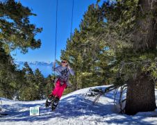 Tahoe Snowshoe Tours photo