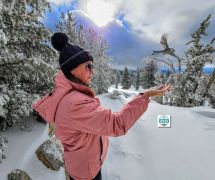 Tahoe Snowshoe Tours photo