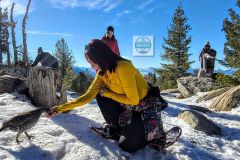 Tahoe Snowshoe Tours photo