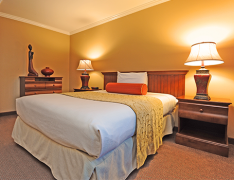 Forest Suites Resort photo
