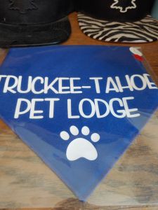 Truckee-Tahoe Pet Lodge photo