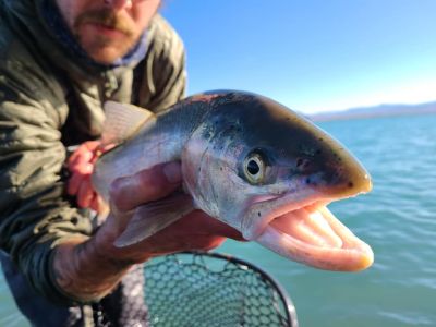 Trout Creek Outfitters photo