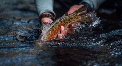 Trout Creek Outfitters photo