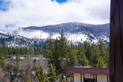 Tahoe Forest Baths photo
