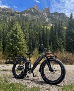 Black Tie Adventure Rentals photo