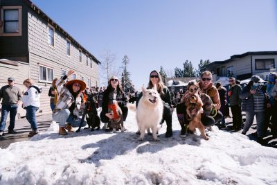 North Lake Tahoe SNOWFEST photo