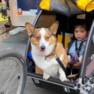 Anderson&#039;s Bicycle Rental photo