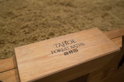 Tahoe Forest Baths photo