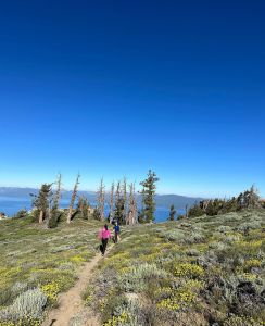 Tahoe City Public Utility District photo