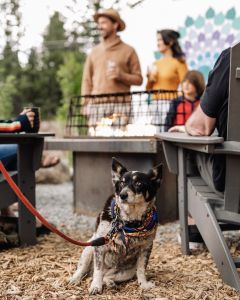 North Tahoe Chamber photo