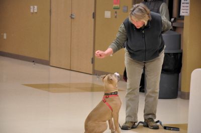 Truckee Donner Recreation &amp; Park District photo