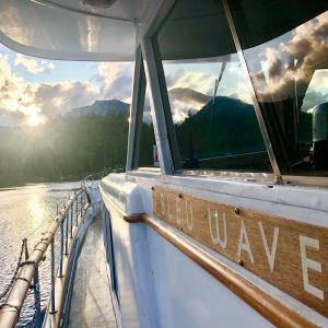 Bleu Wave Cruises photo