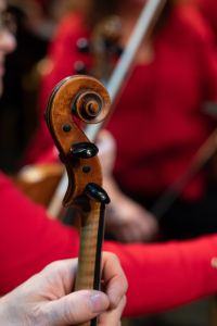 Tahoe Symphony Orchestra photo