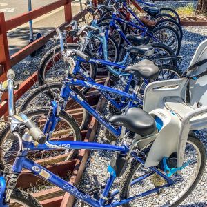 Regular Comfort Bikes at the Tahoe Bike Company