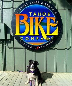 Tahoe Bike Company - South Lake Tahoe Bike &amp; E-Bike Rentals photo