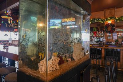 Mott Canyon Tavern &amp; Grill photo