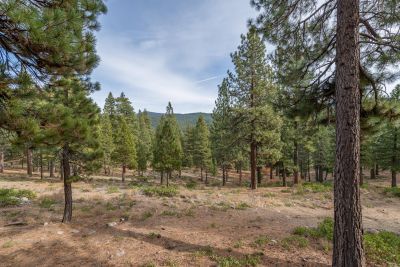 Tahoe Truckee Vacation Properties photo