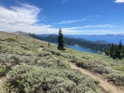 Flume Trail Mountain Bikes photo